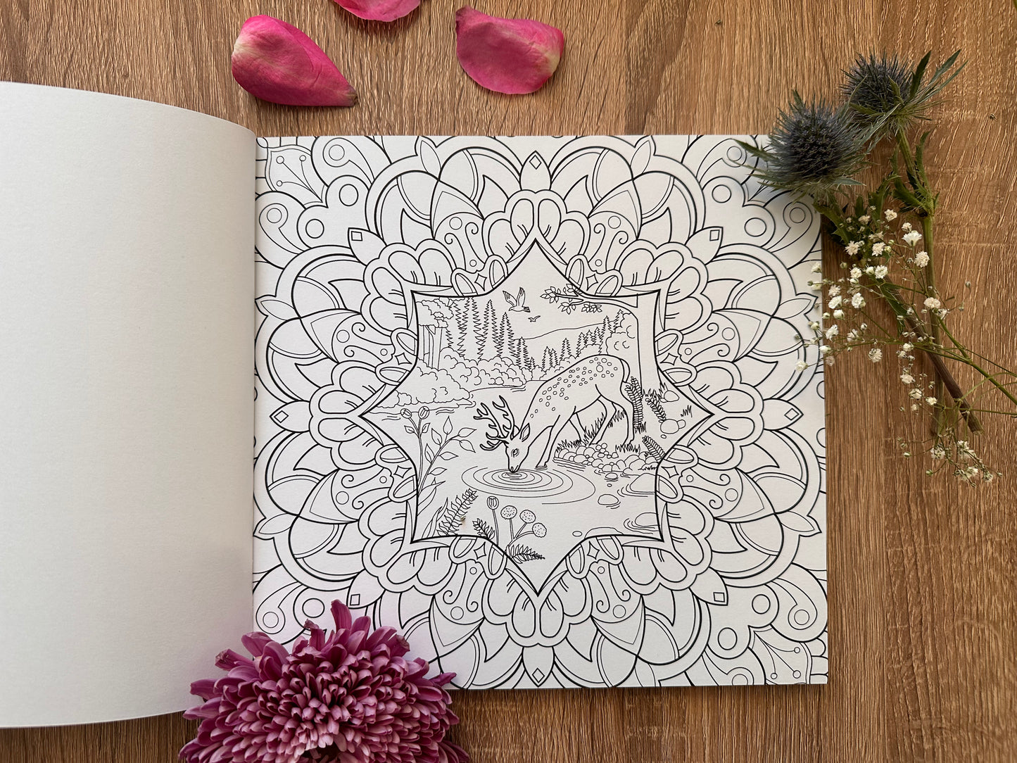 Mandala Colouring book with Nature Motifs