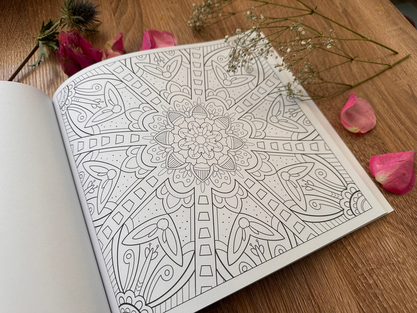 Mandala Colouring book First Edition