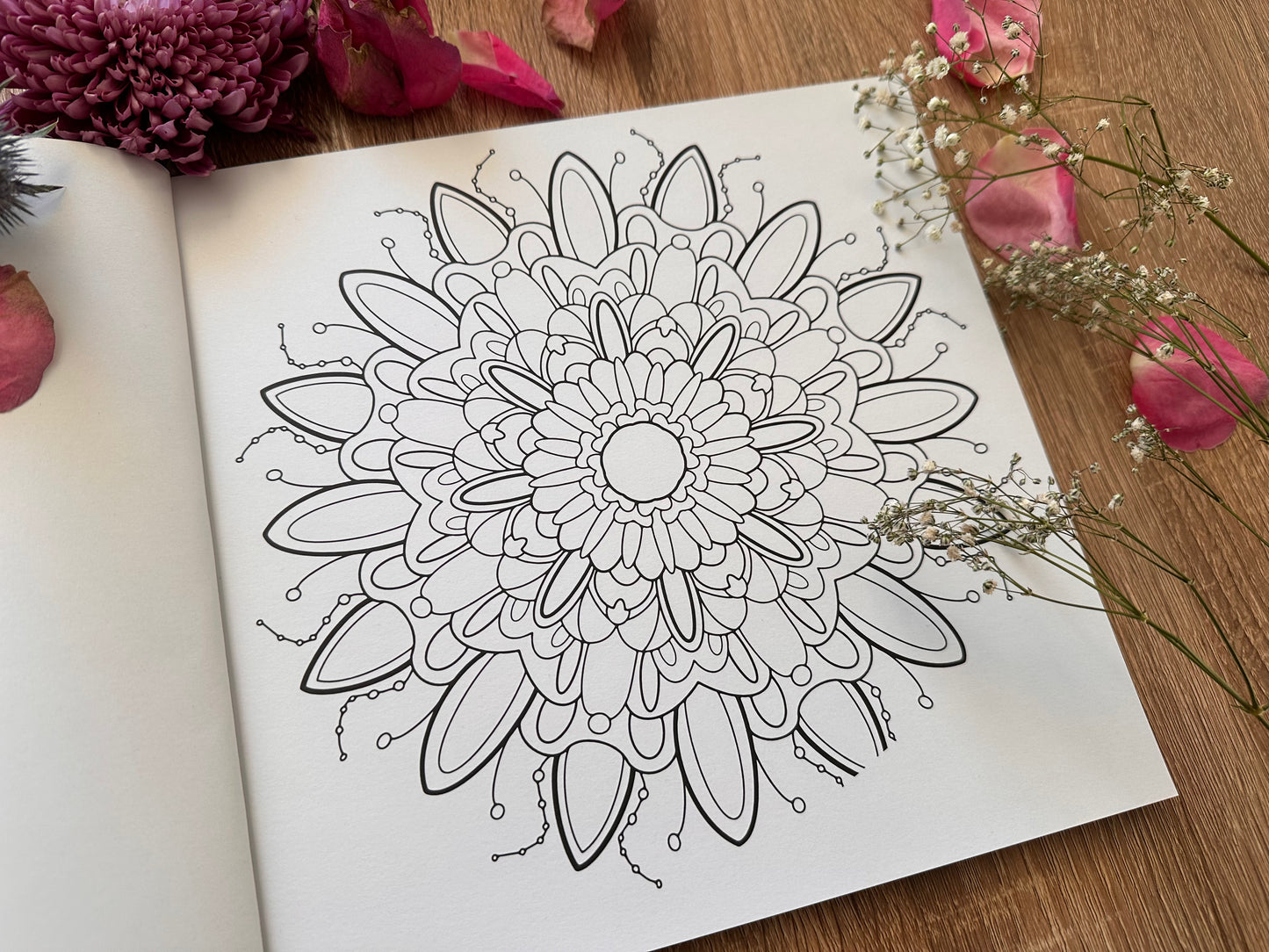 Mandala Colouring book Second Edition