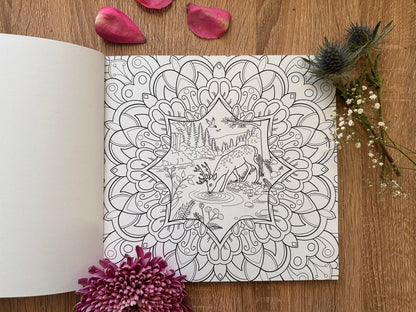 Mandala Colouring book with Nature Motifs