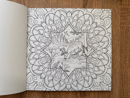 Mandala Colouring book with Nature Motifs